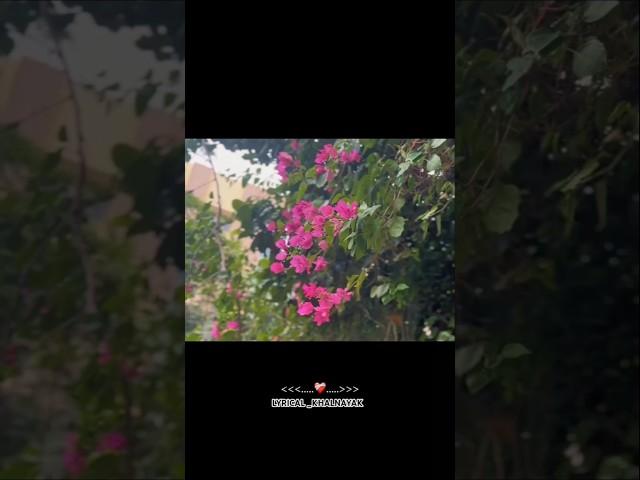 ᴀᴀᴅʜᴀ ᴛᴇʀᴀ ᴀᴀᴅʜᴀ ᴍᴇʀᴀ ɪs ᴊᴀʜᴀɴ ᴍᴇ ʜᴀᴍ ᴅᴏ ᴀᴍᴇᴇʀ-ʟʏʀɪᴄs /LYRICAL_KHALNAYAK