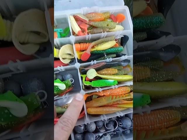 Рыбацкое счастье это когда нет ветра #shorts