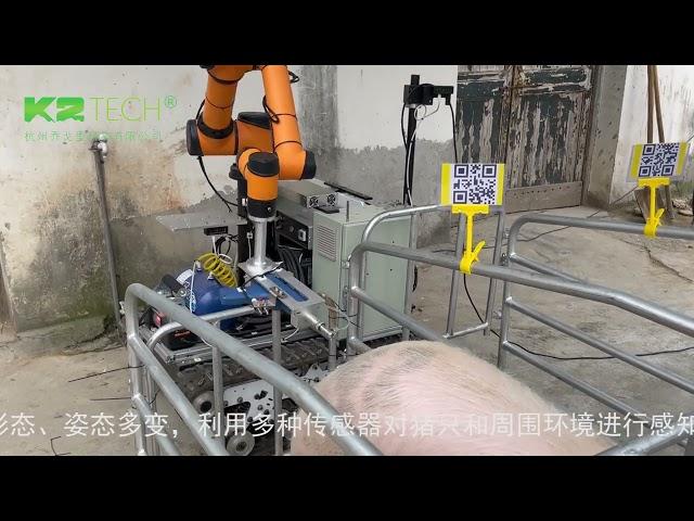 K2 Tech Automatic Injection Robot for pig or other livestock