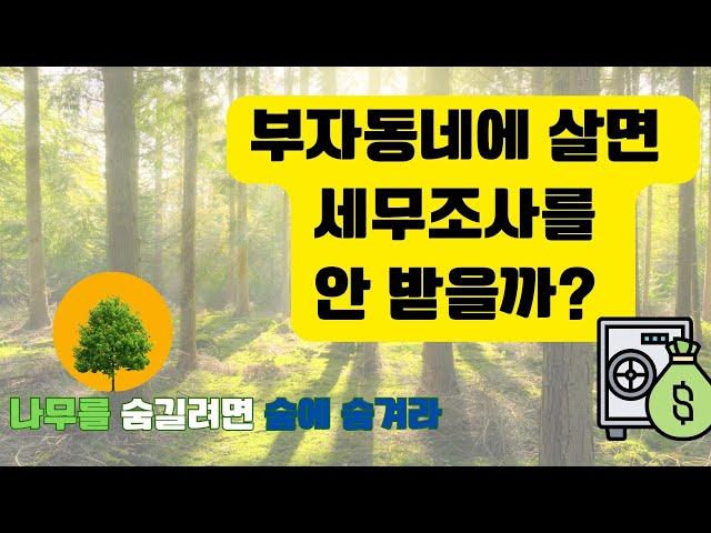 부자동네에 살면 세무조사를 덜 받을까?