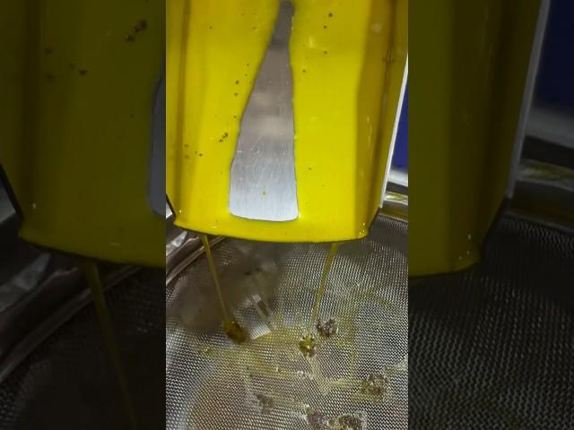 The world’s No.1 Cold Pressed oil extraction machine. Oil extraction machine manufacturers #great️