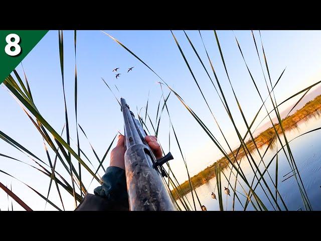 Duck Hunting My Favorite Minnesota Public Marsh! (Limited Out)