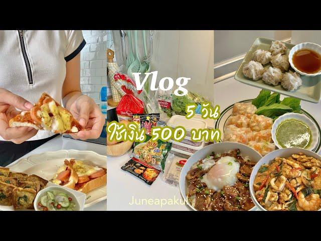 Vlog ทำอาหาร 5 วันใช้เงิน 500 บาท,วิธีเก็บเนื้อสัตว์,ห่อหมกทะเลไข่ข้น,หมูย่างซอส,ขนมปังพิซซ่า ep.5