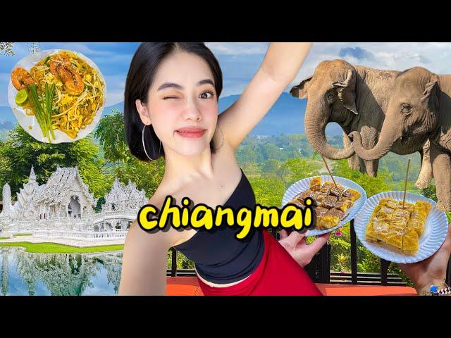 exploring northern thailand  | chiang mai & chiang rai | bomb street food, elephants, temples!