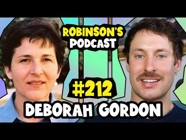 Deborah Gordon: Ants, Myrmecology, and Collective Behavior | Robinson's Podcast #212