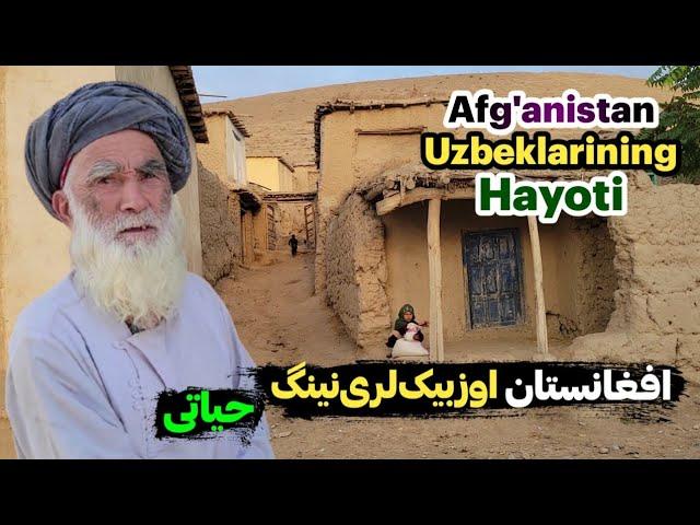 Mash Ova qishlog‘i aholisi bilan suhbat |Afg‘oniston uzbeklarining qishloqlardagi hayoti | Uzbek TV