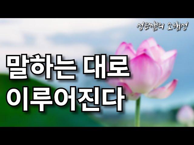 말하는 대로 이루어진다 - 운을 부르는 긍정 확언과 말버릇의 힘