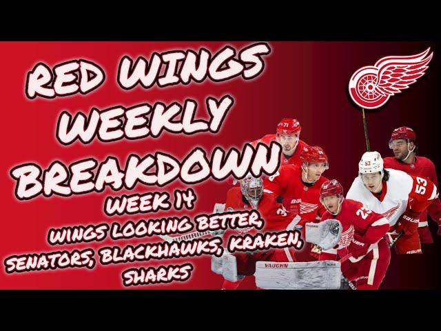 RED WINGS WEEKLY BREAKDOWN WEEK 14: WINGS LOOKING BETTER, SENATORS, BLACKHAWKS, KRAKEN, SHARKS