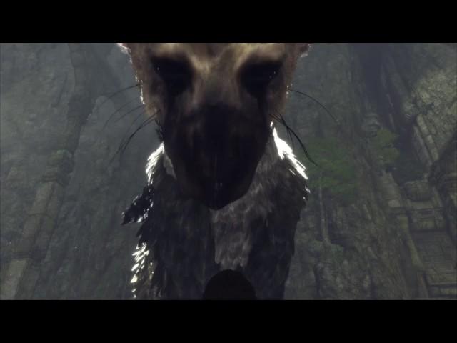 The Last Guardian - Trico being adorable