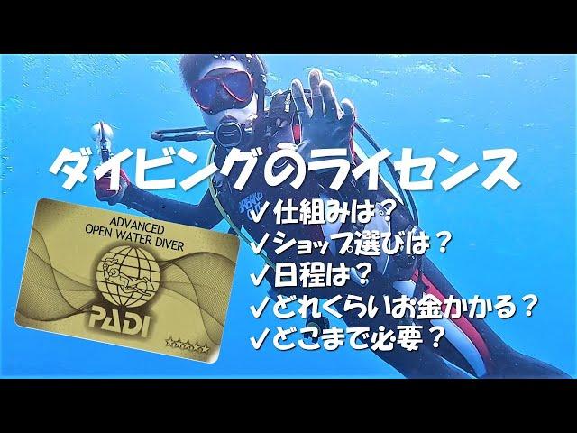 【趣味でダイビングを始めたい人向け】ライセンスの仕組みや料金・ショップの選び方を徹底解説