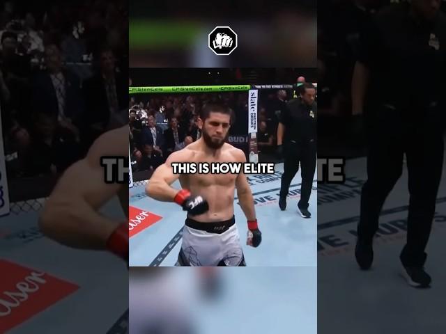 Why Islam Makhachev Is ELITE