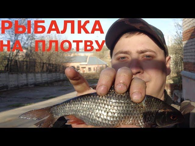 РЫБАЛКА на ПЛОТВУ. Собака съела улов.