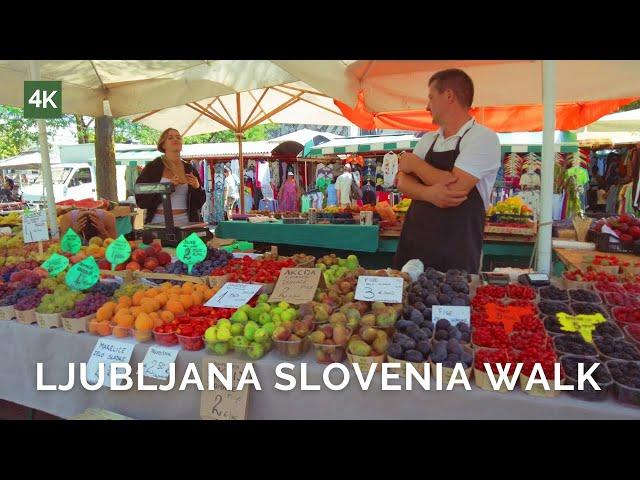 Explore Slovenia's Streets,Markets & Landmarks|Ljubljana Slovenia 4K Walking Tour | UHD 60fps