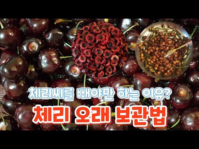 체리 오래 보관법/체리씨를 빼야만 하는 이유?