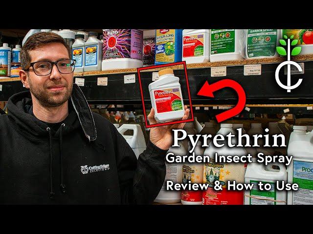 Pyrethrin Garden Insect Spray Review and How to Apply