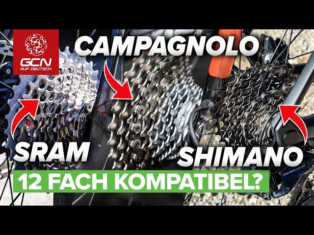 12 Schaltgruppen Kompatibel Untereinander? Shimano, SRAM Und Campagnolo Im Test