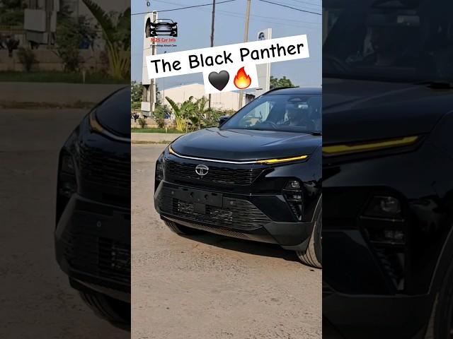 The Black Panther!! Presence | Tata Harrier Dark Edition 2023 | Harrier Status | Harrier Facelift