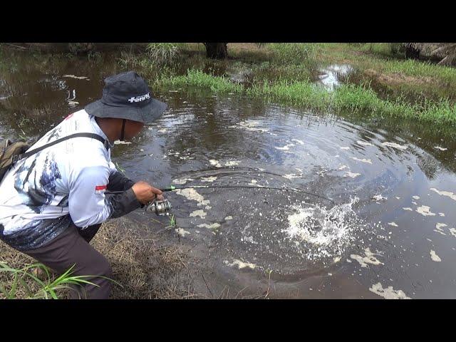 Di luar Dugaan Paritan ini Jadi Sarang Ikan Gabus Babon