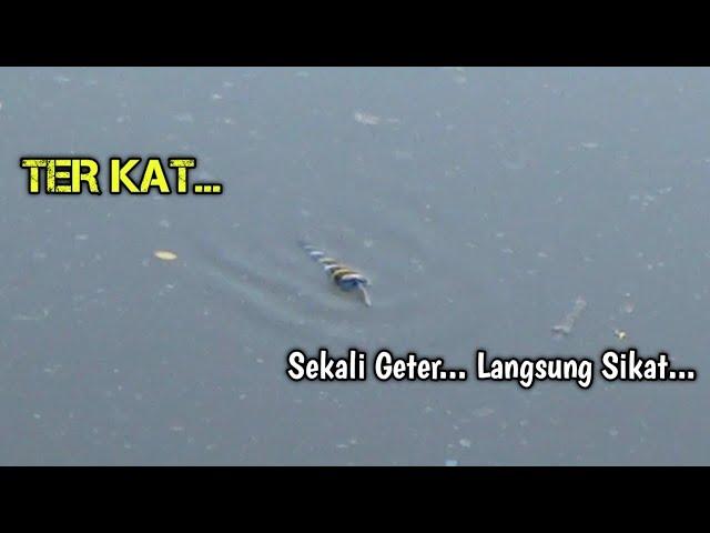 Pelampung Getar Langsung Sikat||Mancing Ikan Belanak