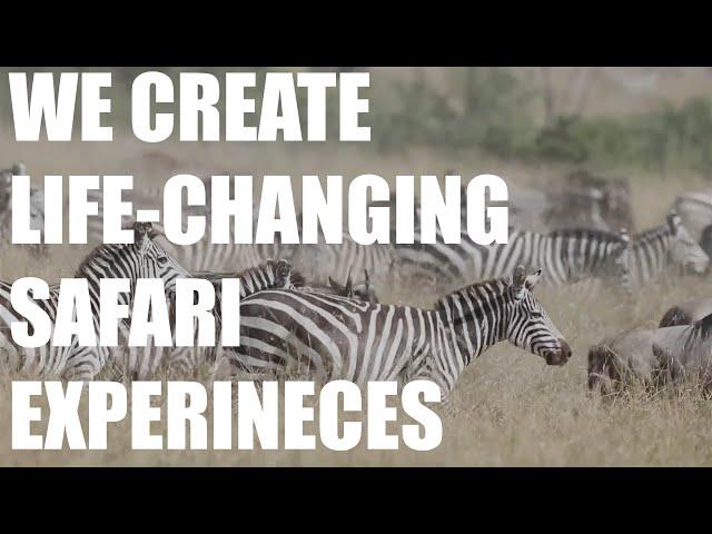 Cheesemans' Ecology Safaris - Creating life-changing safari experiences