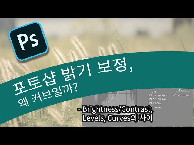 포토샵 밝기 보정, 왜 커브가 좋은가요? (Brightness/Contrast, Levels, Curves의 차이)