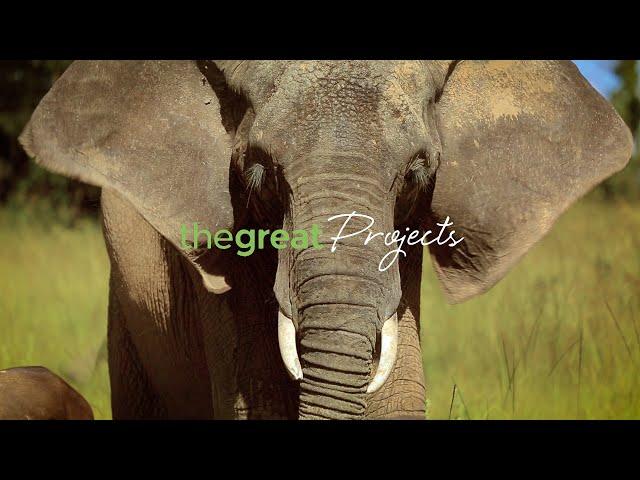 Volunteer with The Great Projects!