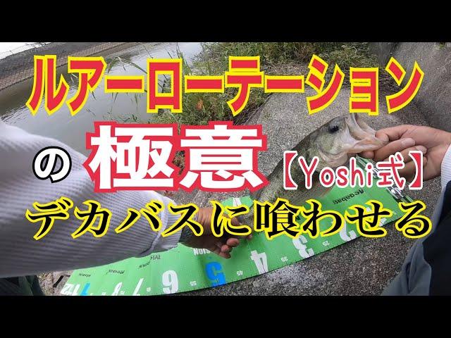 ルアーローテーションの極意【Yoshi式】クリークにてデカバスを獲る方法