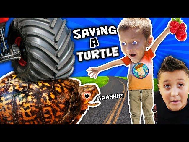 WE SAVED AN INJURED TURTLE!! FUNnel Vision Pet Smart Habitat Vlog