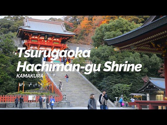 Tsurugaoka Hachiman-gu Shrine,Kamakura | Japan Travel Guide