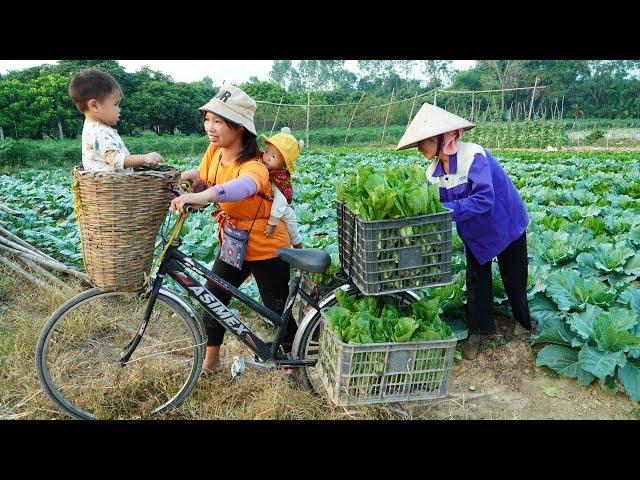 Harvest Green Vegetables Goes to Market Sell - Cooking - Gardening, Daily life / Ly Thi Ngoan