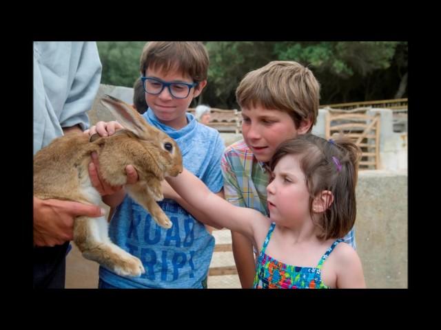 Binissuès, actividades completas  -  Menorca Activa