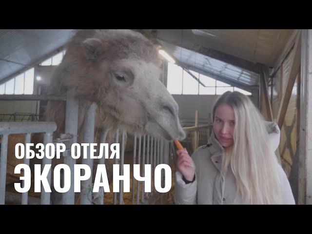 Валерия Стинг ведет обзор загородного отеля ЭКОРАНЧО