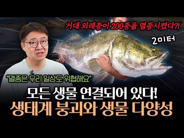 모든 생물이 연결되어 있다! 생물 다양성이 무너질 때 생기는 일