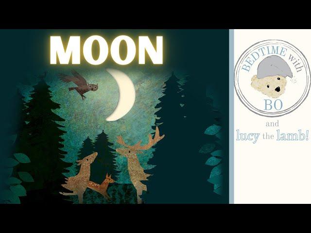 Moon | Britta Teckentrup | Bedtime Story Read Aloud for Kids | Bedtime Book for Kids