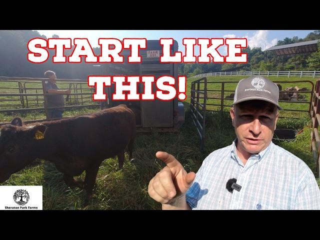 The EASIEST Way To Start Raising Cows