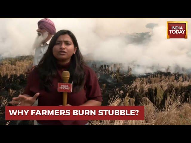 Why Farmers Continue To Burn Stubble? | Ground Report From Punjab