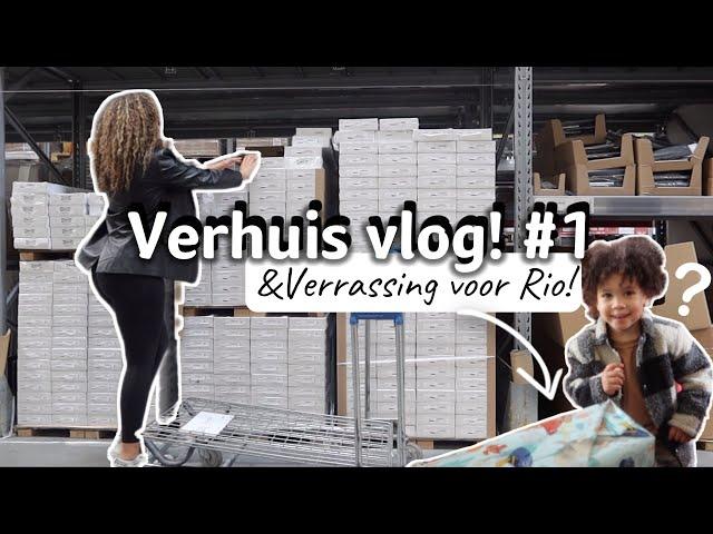 VERHUISVLOG #1 Vloer uitkiezen & een verrassing voor Rio voor het nieuwe huis!