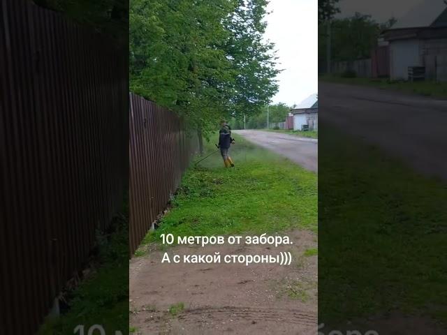 Косить или не косить, вот в чем вопрос. #новости #беларусь #лукашенко #диктатура