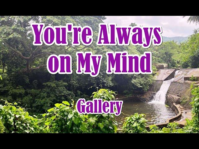 You're Always On My Mind by Gallery (LYRICS)
