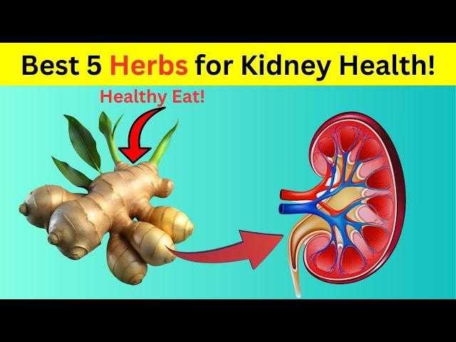 5 BEST  Herbs To DETOX and CLEANSE Your KIDNEYS Naturally REVERSE Kidney Damage