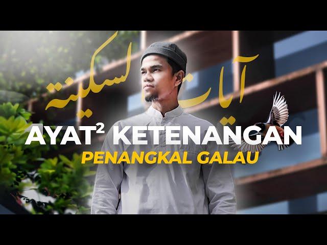 PENENANG HATI & PIKIRAN  (Ayat Sakinah) - Muzammil Hasballah