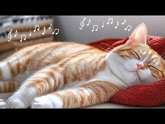 Purring Cat and Cozy Fireplace | Relax and Sleep Instantly with Cat Purr and Fire Sound