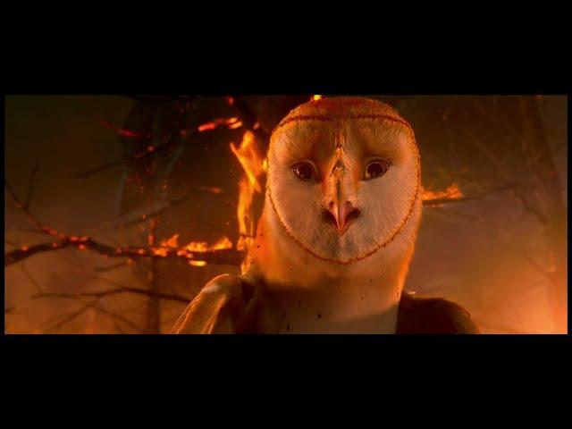 Legend of the Guardians: The Owls of Ga'Hoole - Soren vs Kludd (Albanian)