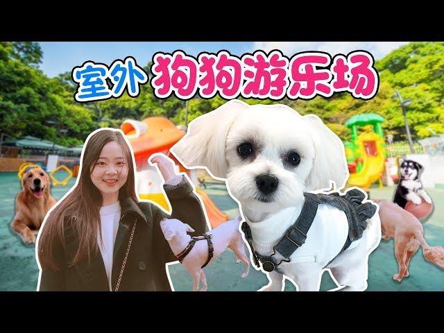 小伶帶coco去狗狗室外遊樂場！小伶玩具 | Xiaoling toys