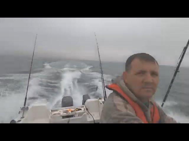 Boat fishing at Swansea, feathering for mackerel, bait fishing and trolling for bass #bassfishing