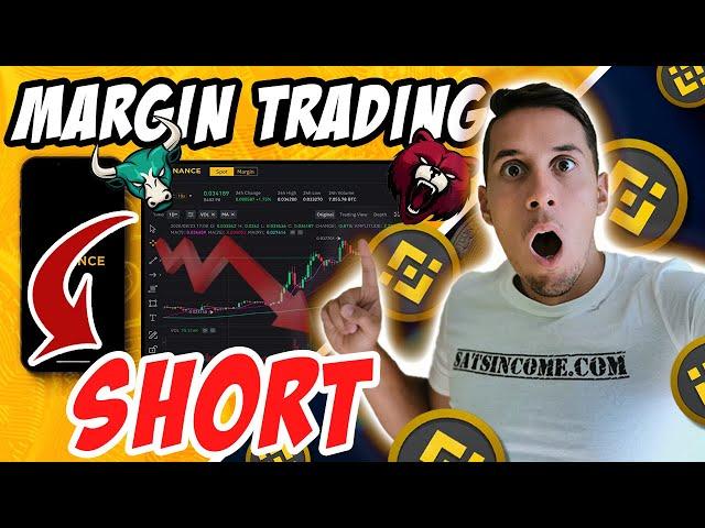 How to SHORT Bitcoin & Crypto on BINANCE EXCHANGE | MARGIN TRADING Guide