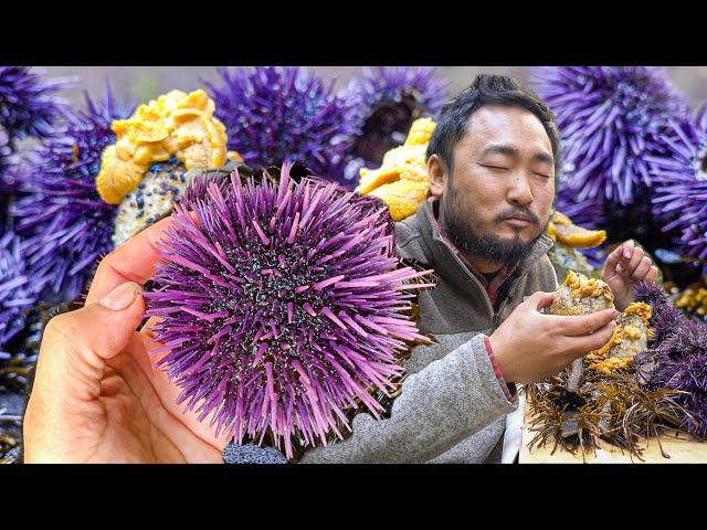 Expensive Uni (SEA URCHIN) for FREE