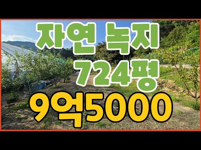 창원토지매매 N202400 봉림동 자연녹지지역 9억5000 2,390㎡ 724평 도로접하며 차량진출입가능 전기,지하수有 유실수다량식재중