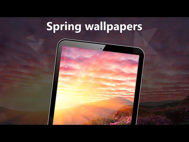 Spring wallpapers 4k