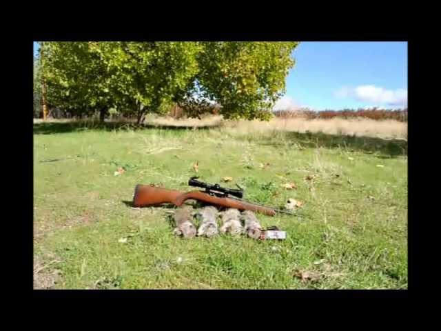 Winchester 22 Long Rifle Lead Free Ammunition Hunt Report